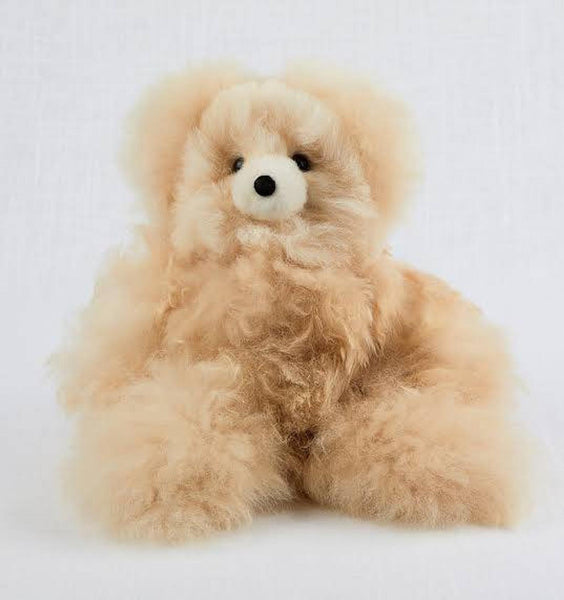 Pocket Teddy Bear