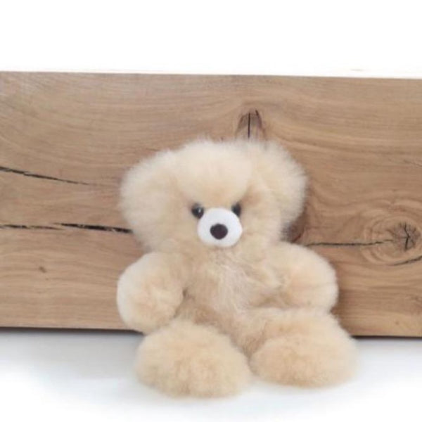Pocket Teddy Bear
