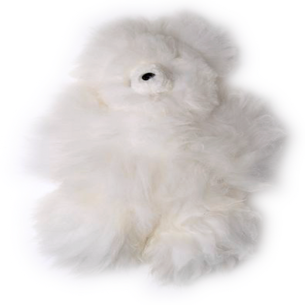 Pocket Teddy Bear