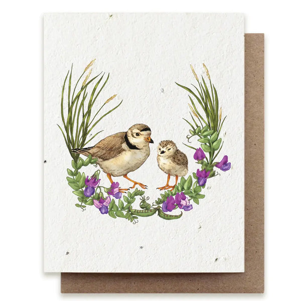 Summer Plovers Greeting Card