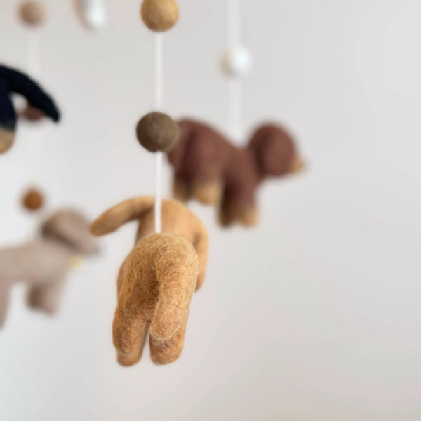 Dachshund Mobile