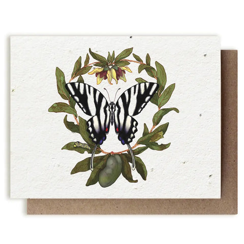 Zebra Swallowtail Butterfly & Pawpaw Plant  Card