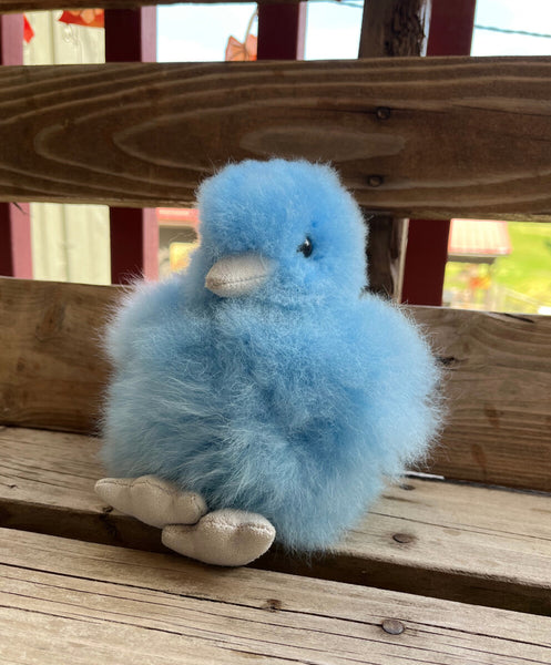 Baby Chick, Baby Alpaca