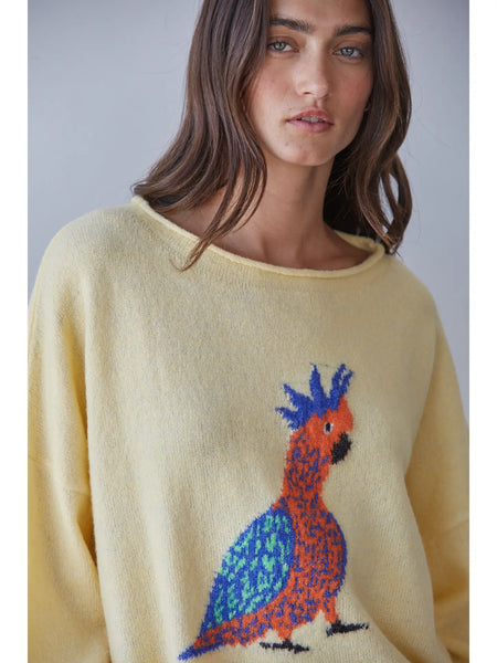 Kiwi Sweater