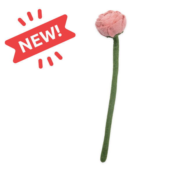 Peony Flowers