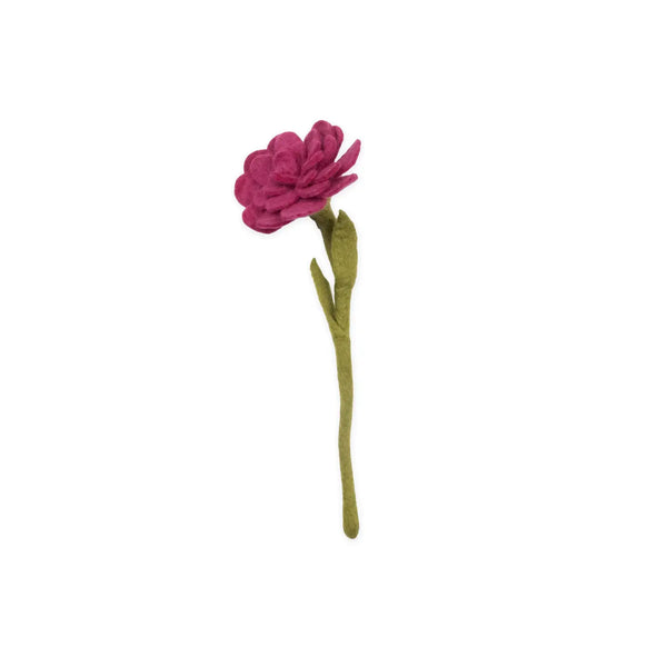 Zinnia Flowers