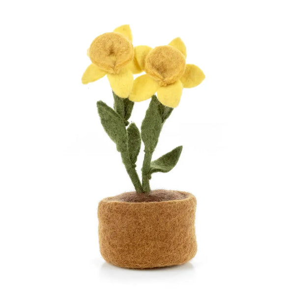 Daffodils Standing Plant