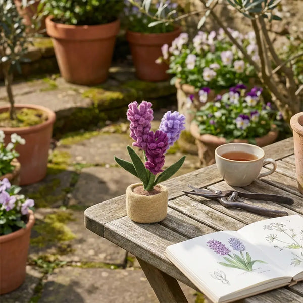 Lavender Standing Plant