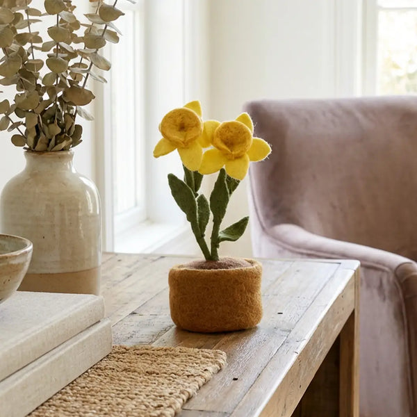 Daffodils Standing Plant