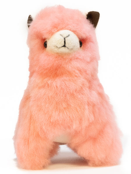 Cody Alpaca 11" 1/2