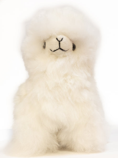 Cody Alpaca 11" 1/2