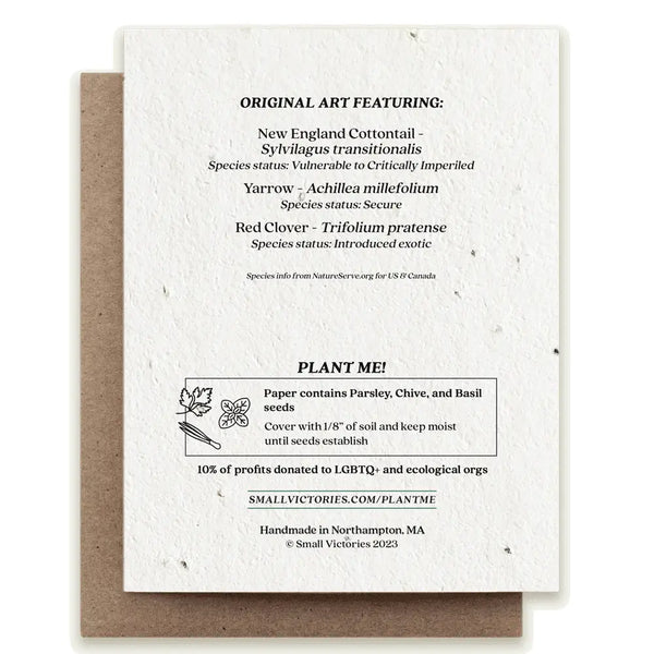 Rabbit Greeting Card