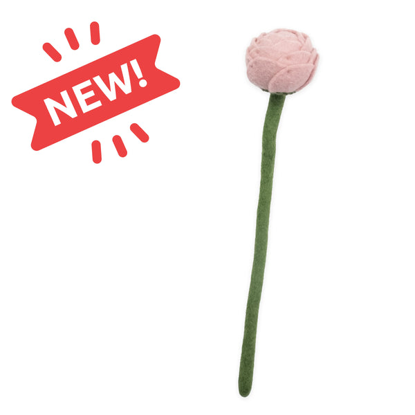 Peony Flowers