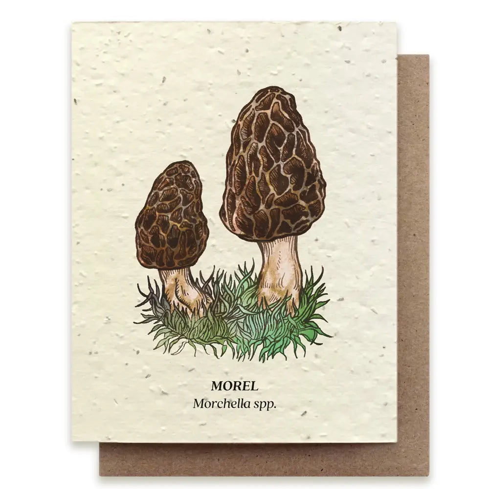 Morel Mushroom Card