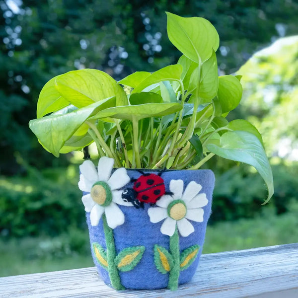Daisy Felt Pot