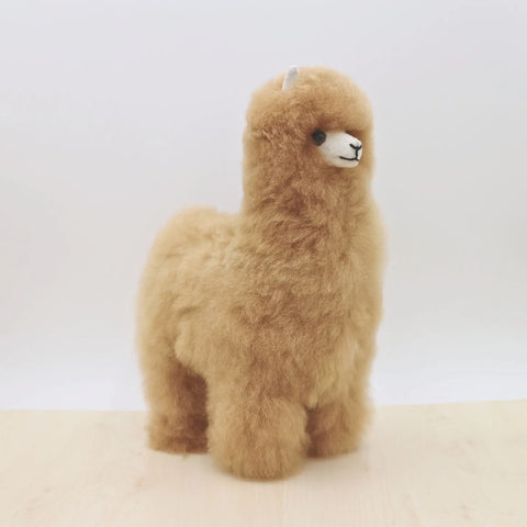 Patrick The Alpaca