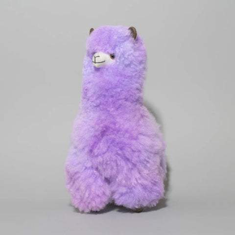 Bibi The Alpaca