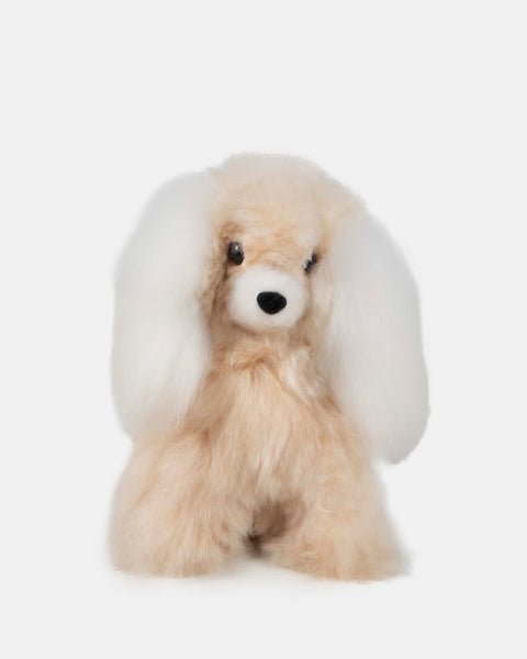 Lola Dog, Baby Alpaca
