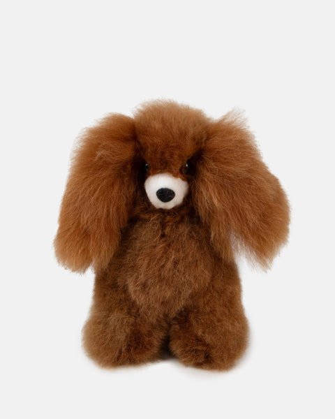 Lola Dog, Baby Alpaca