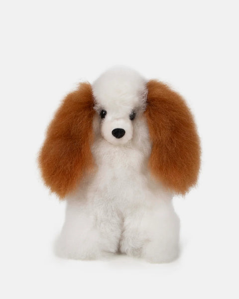Lola Dog, Baby Alpaca
