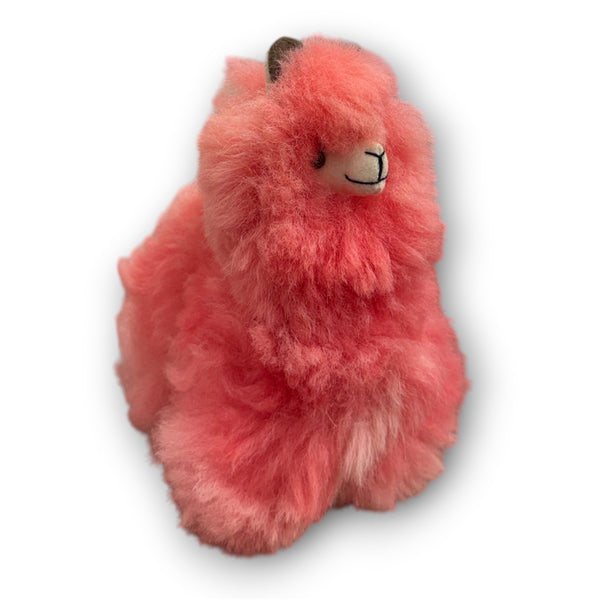Tony Alpaca 8"