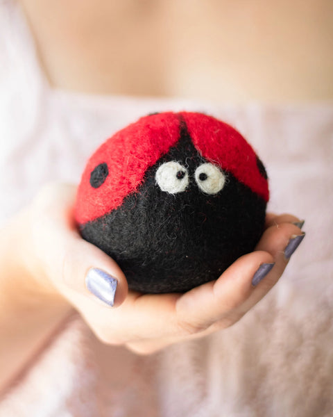 Ladybug Lavender Fields Eco Dryer Balls