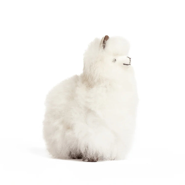 Mark Alpaca, Baby Alpaca 6"1/2