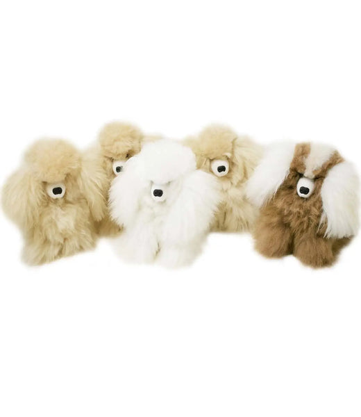 Skippy Dog, Baby Alpaca