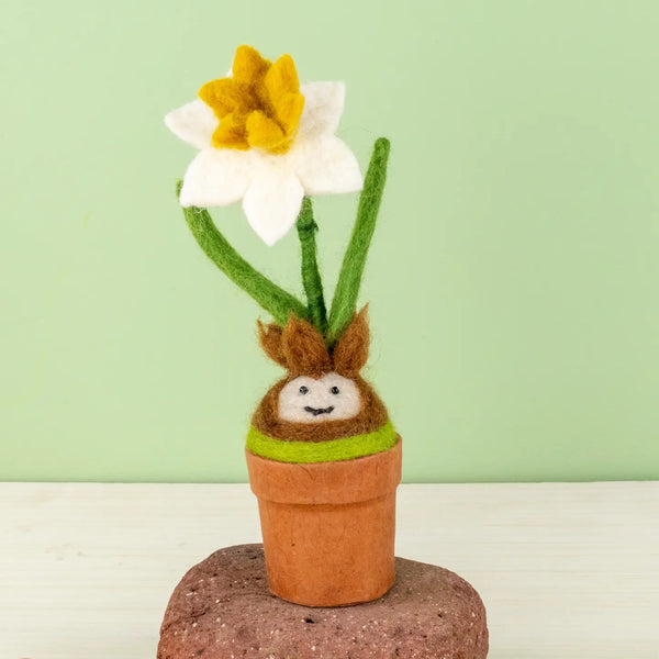 Potted Daffodil