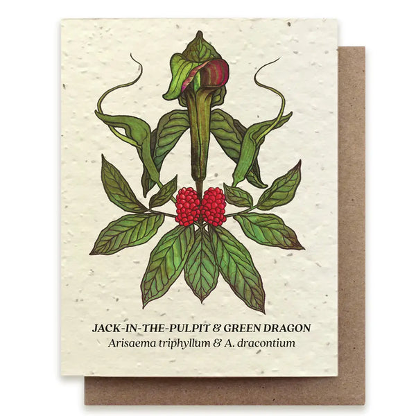 Jack-in-The-Pulpit & Green Dragon Card