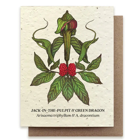 Jack-in-The-Pulpit & Green Dragon Card