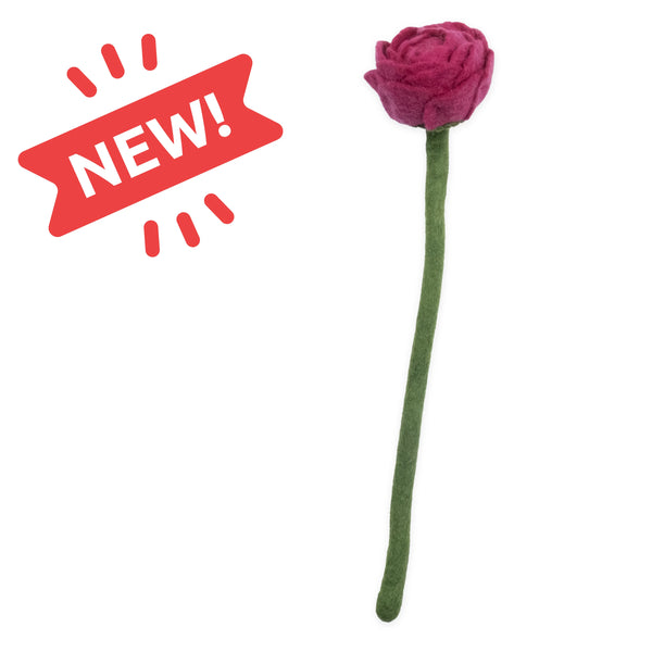 Peony Flowers