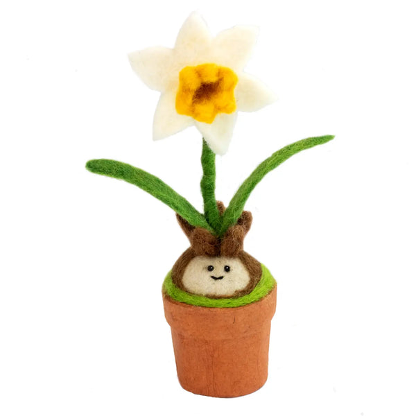 Potted Daffodil
