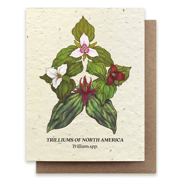 Trillium Compass Greeting Card