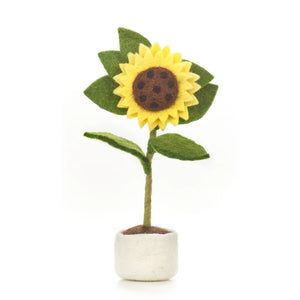 Sunny Sunflower in a Pot