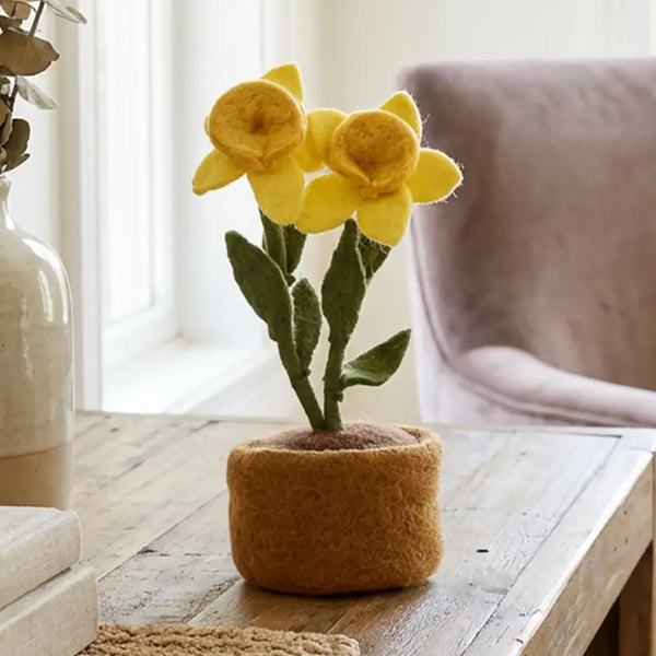 Daffodils Standing Plant