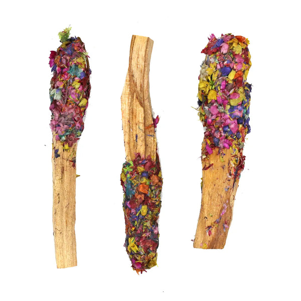 Dipped Chakra Harmony Palo Santo Pops