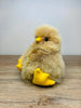 Baby Chick, Baby Alpaca