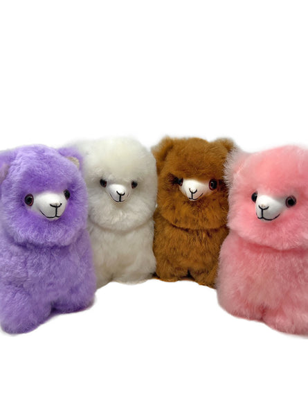 Cody Alpaca 11" 1/2