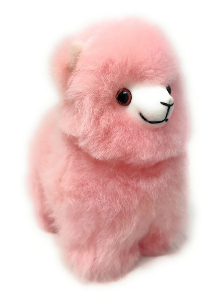 Cody Alpaca 11" 1/2