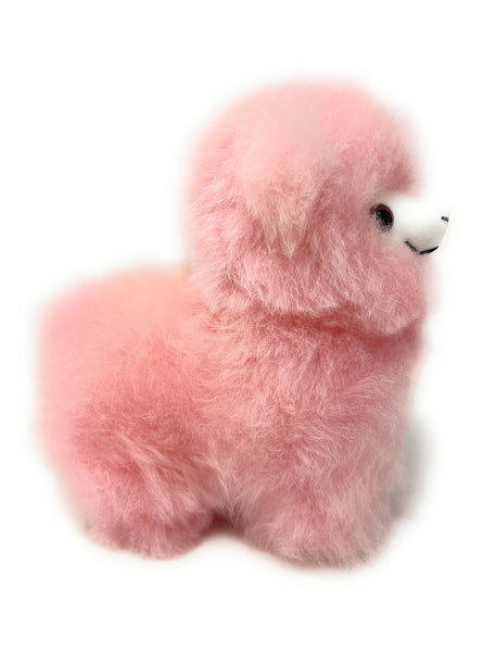 Cody Alpaca 11" 1/2