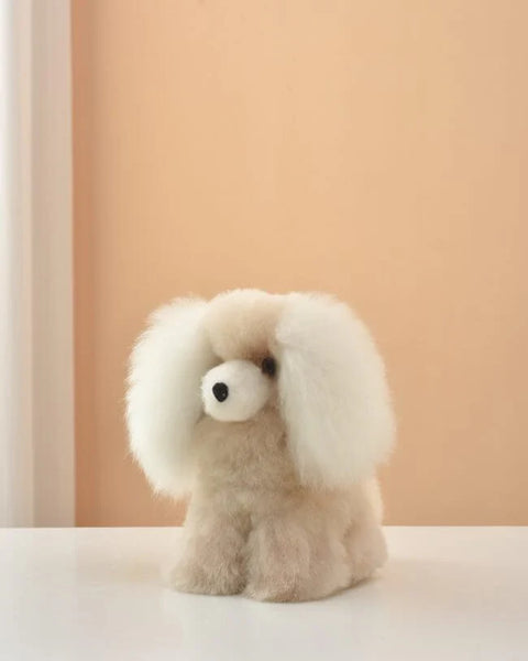 Skippy Dog, Baby Alpaca