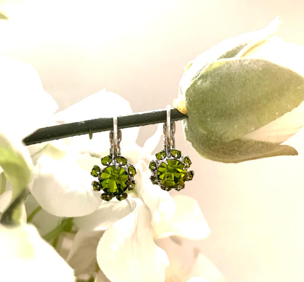 Gem Stone Earrings