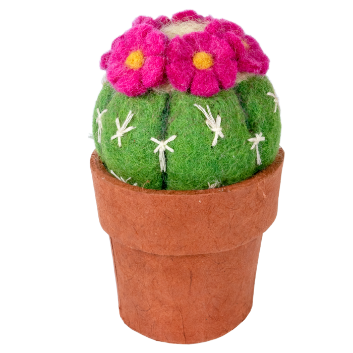 Pincushion Cactus