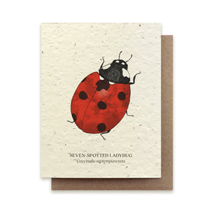 Ladybug Insect Greeting Card