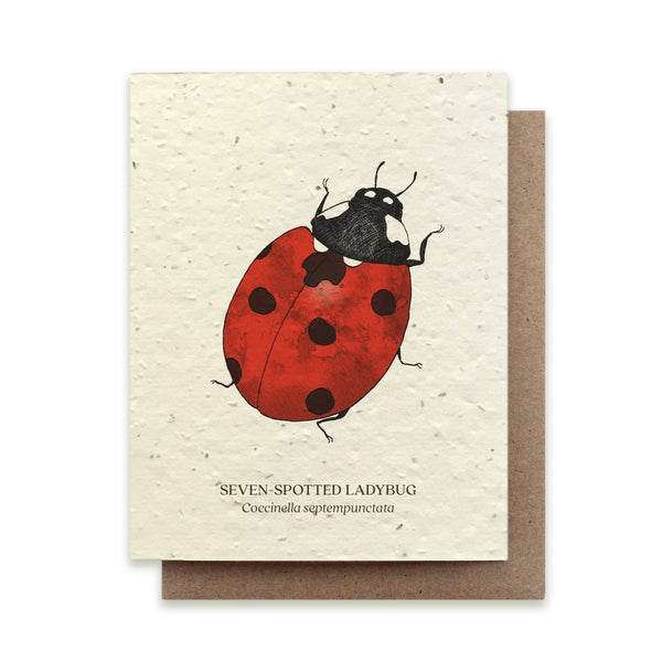 Ladybug Insect Greeting Card
