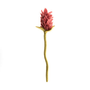 Alpinia Flowers