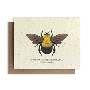 Bumble Bee Insect Greeting Card
