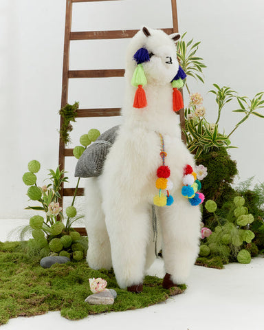 Sam Alpaca