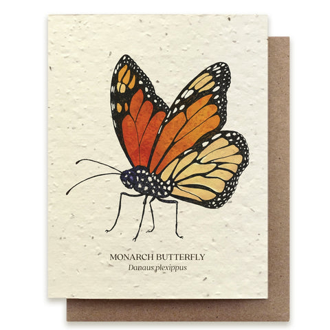 Monarch Butterfly Insect Greeting Card